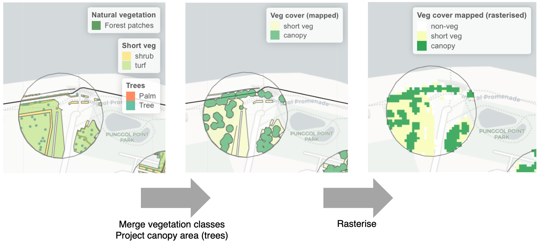 **Example showing how manually generated vector data of vegetation can be converted into a classified raster of vegetation types used in the predictive models.**