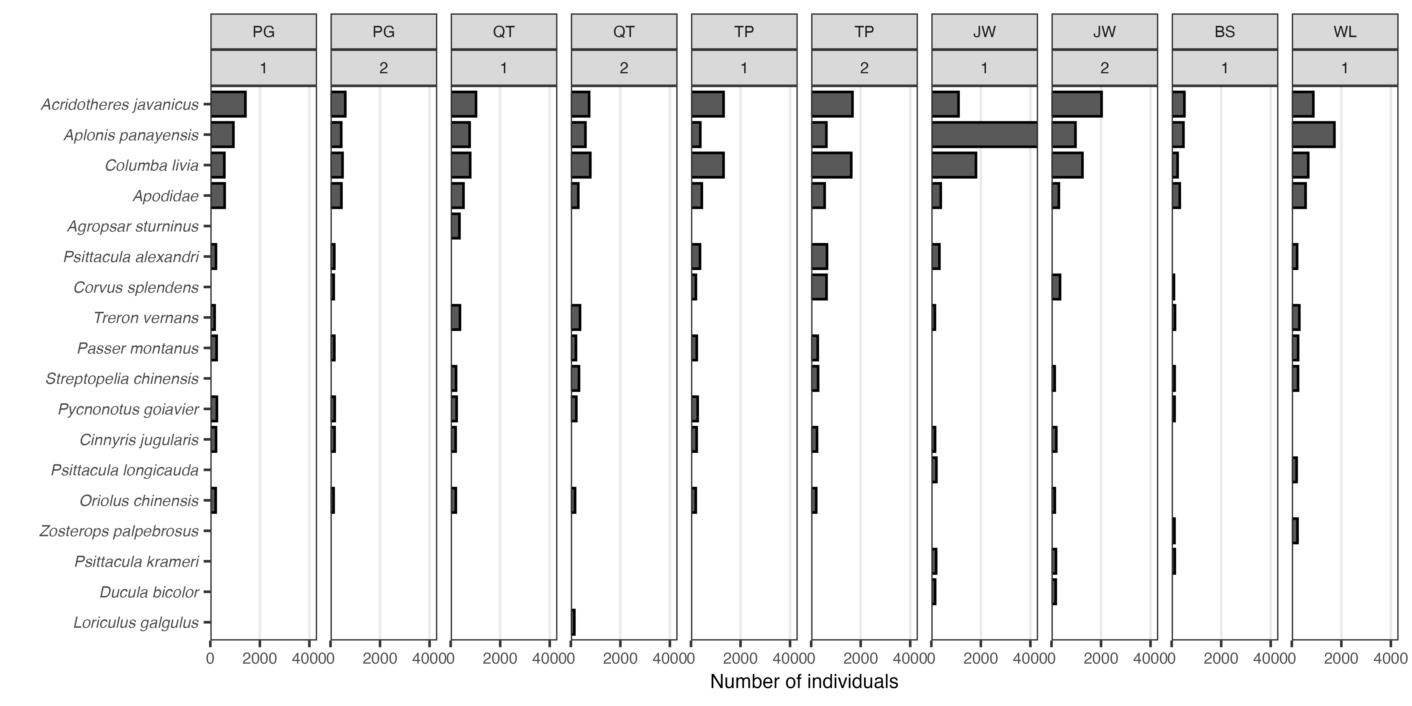 **Figure: Most abundant bird species within each area (town), per survey round.** Up to ten species are shown; species are arranged in descending order according to their cumulative counts.